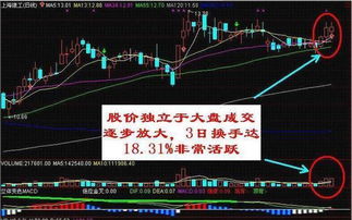 如何识别股票中的庄家 如何识别股票中的庄家