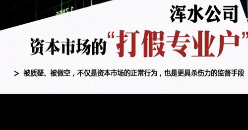 浑水如何借股票