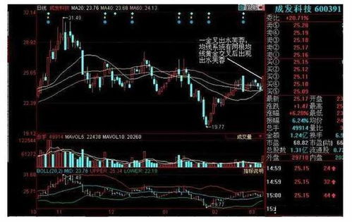 如何选出定海神针股票