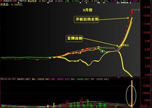 如何查看复牌股票 如何查看复牌股票