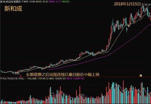 如何看自己股票的成交额
