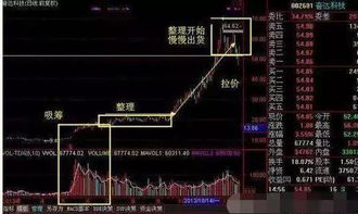 如何看一支股票的涨跌榜