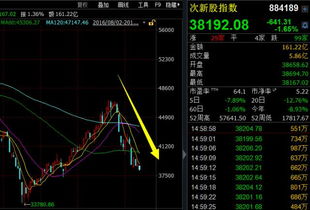 怎么从证券系统找次新股 怎么从证券系统找次新股