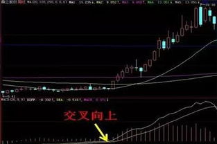 股票如何快速翻番 股票如何快速翻番