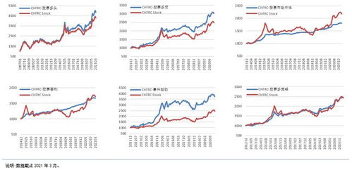 2007如何投资股票