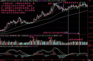 股票上升浪如何操作