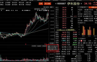 增发股票的股价如何定量