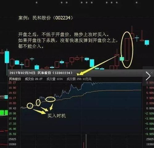 中国股市新手如何选股票
