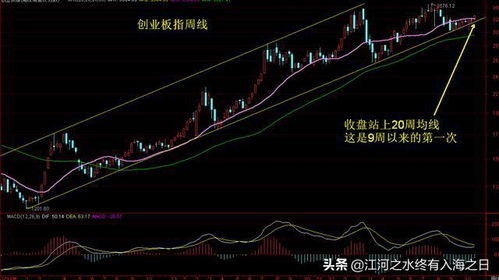 如何重仓做一只股票行业 如何重仓做一只股票行业