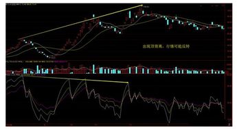 如何获得短线投资股票 如何获得短线投资股票