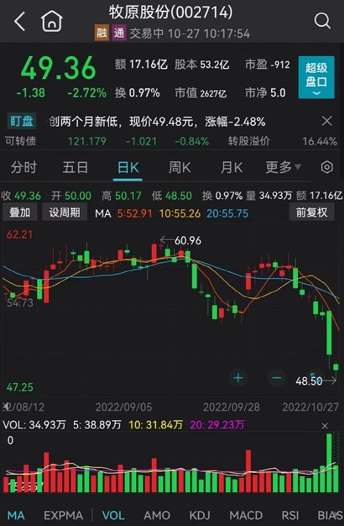 如何查科创板的股票 如何查科创板的股票