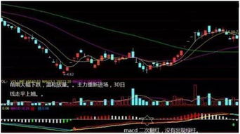 中国股票如何玩 中国股票如何玩