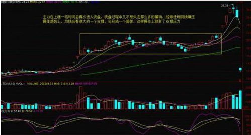 投资10只医药股票如何