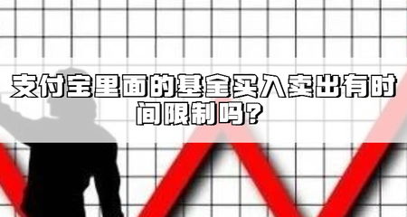 货币证券基金怎么买入 货币证券基金怎么买入