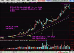 第一次如何学会炒股票