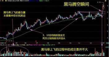 如何看股票涨势