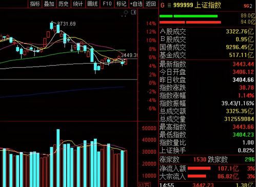 证券板块股票怎么查