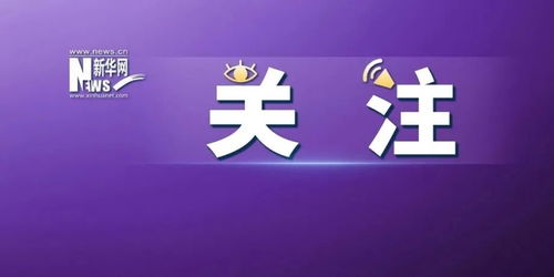 证券发音怎么读