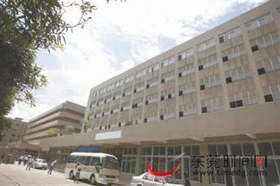 东莞证券公司怎么样