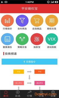 平安证券怎么上市的