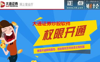 大通证券怎么打新股