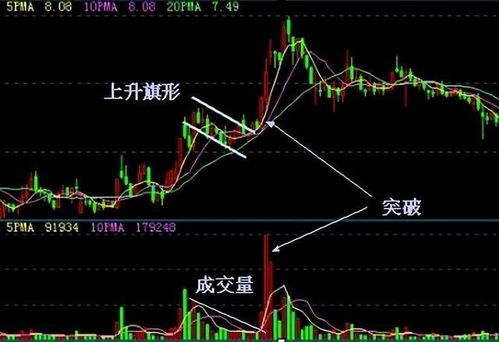 投资股票如何交社保