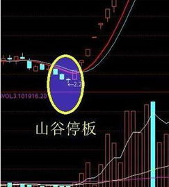如何购买股票交流