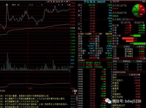 周末如何分析股票