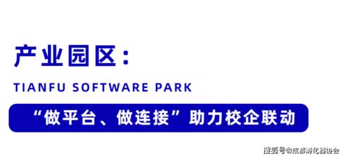 国联证券小融宝怎么用 国联证券小融宝怎么用