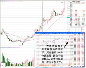 股票如何添加板块
