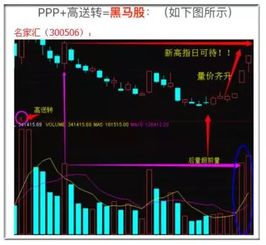 如何拿到黑马股票