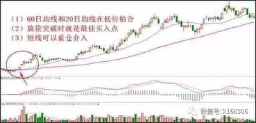 你怎么看懂证券交易系统