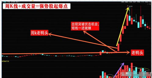 股票如何致富 股票如何致富