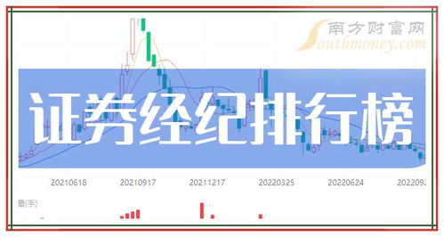 股票经纪公司如何