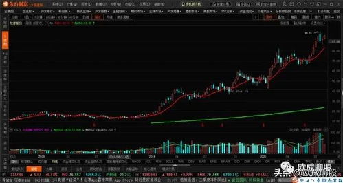如何发展成长性股票行业