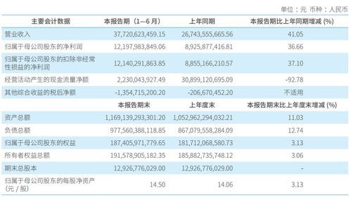中信证券上半年报怎么样
