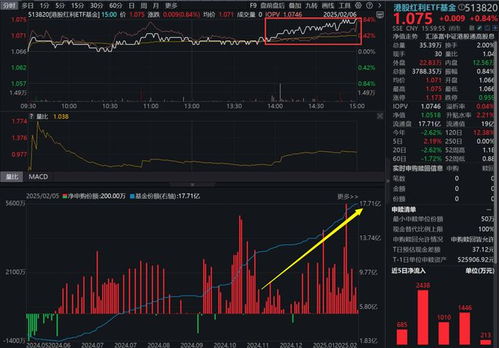 如何查看股票基金资金