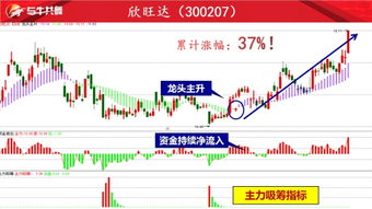 天鼎证券怎么收费的