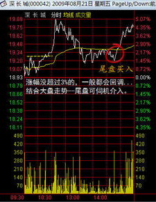 大盘短线如何补仓股票 大盘短线如何补仓股票