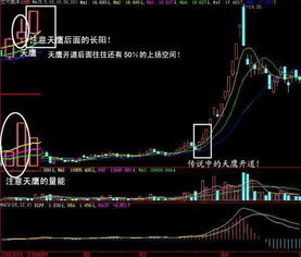 如何判断股票明天涨价了