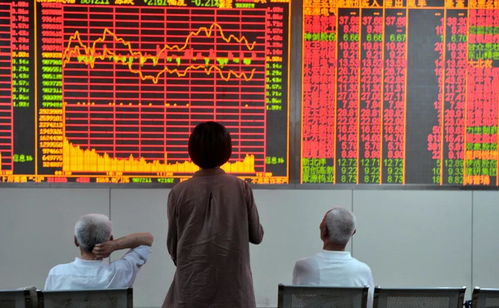 金华证券怎么样
