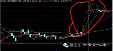 如何看股票年报 如何看股票年报