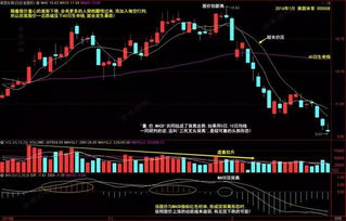 2012年如何炒股票