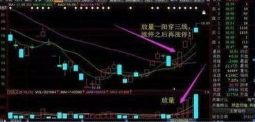 如何查看股票中的庄家 如何查看股票中的庄家