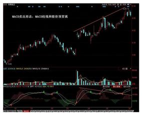 如何快速识别历史股票