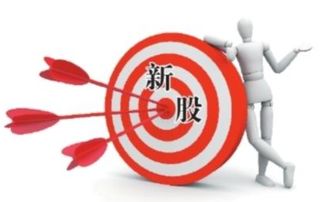 中投证券怎么申购新股