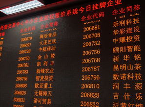 e板上市股票如何买卖 e板上市股票如何买卖