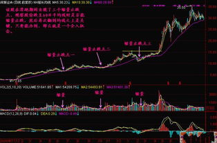 炒股如何把股票炒好呢