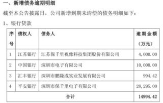平安证券怎么借钱