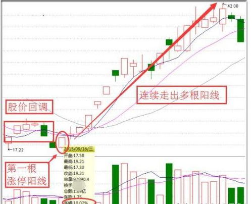蚂蚁股票表现如何 蚂蚁股票表现如何